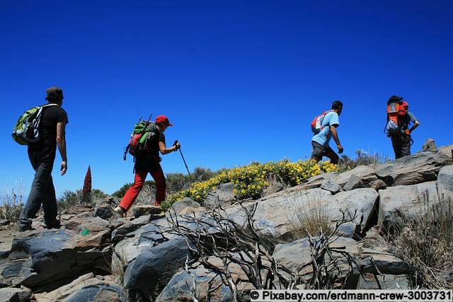 Wandern im Teide Nationalpark