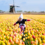 Ein riesiges Feld von Tulpen in Holland